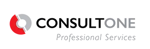 Consult One — Professional Services